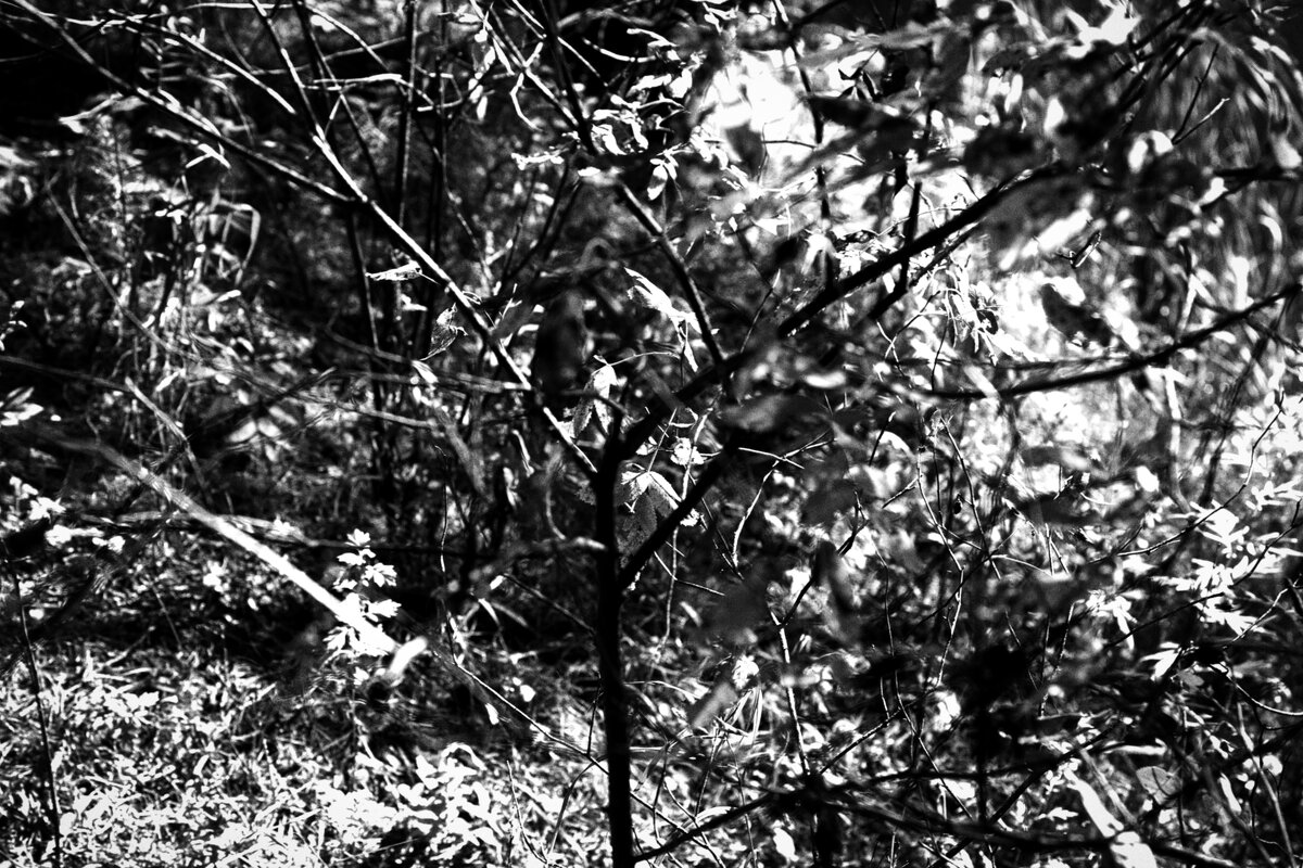 Название отсутствует - Денис Безногов Название отсутствует - Денис Безногов