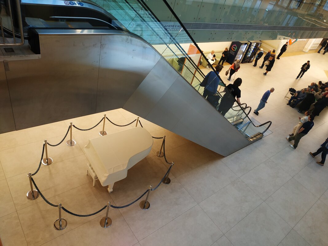 Рояль не в кустах :-) - Андрей Лукьянов