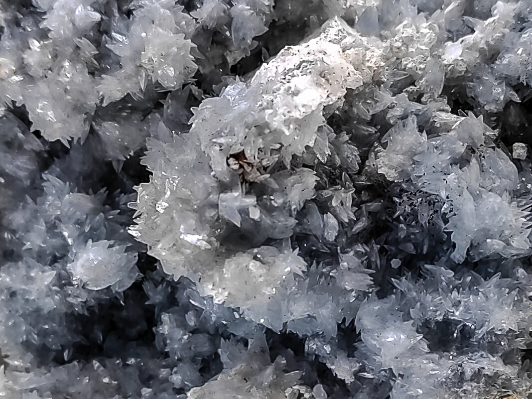 волшебный мир макро - Георгий А