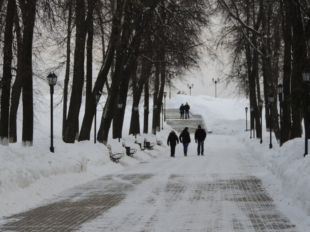 Владимир - Николай ntv