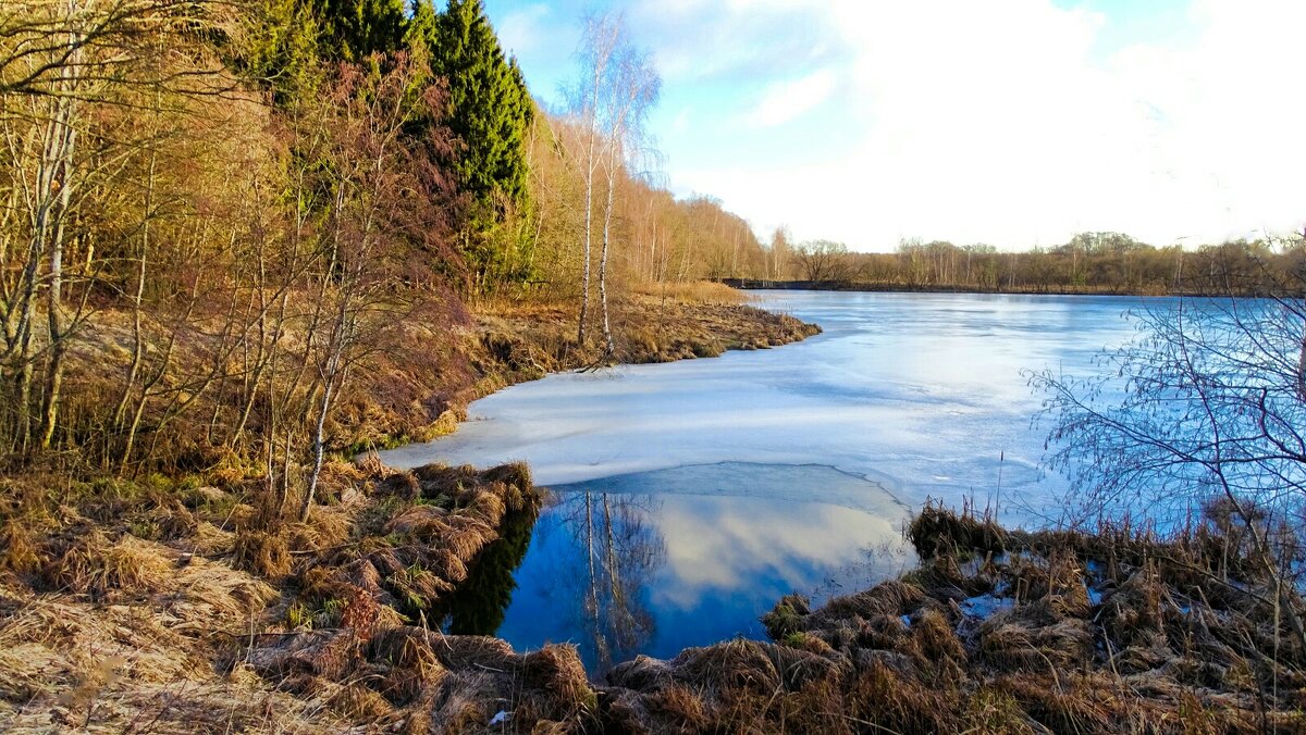 Зимний пейзаж с зеркальным отражением. - Милешкин Владимир Алексеевич 