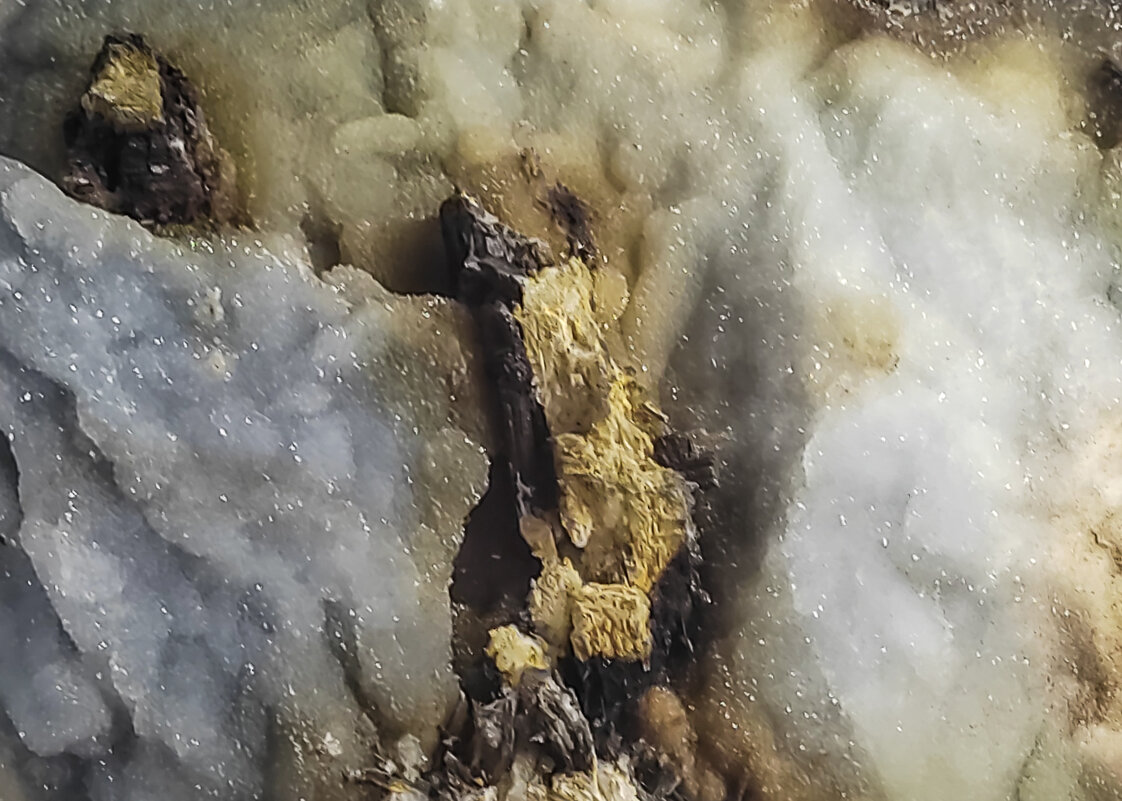 макро: совсем другой мир - Георгий А макро: совсем другой мир - Георгий А