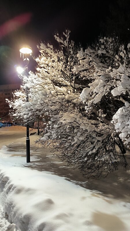 За час до рассвета. - Ольга За час до рассвета. - Ольга