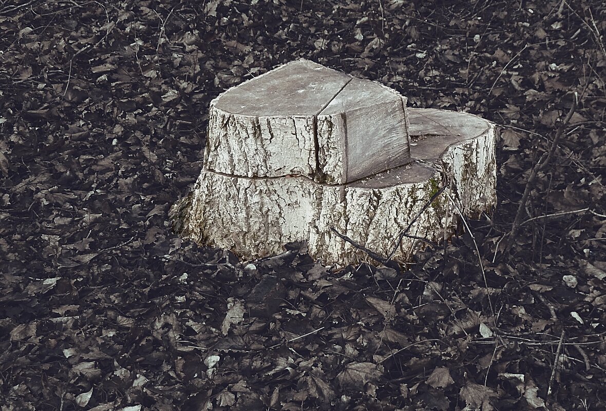 двухэтажный - Николай Семёнов