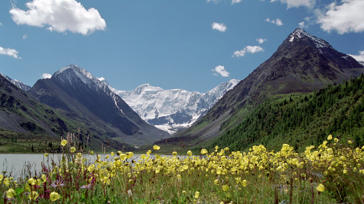 Белуха... - владимир Белуха... - владимир
