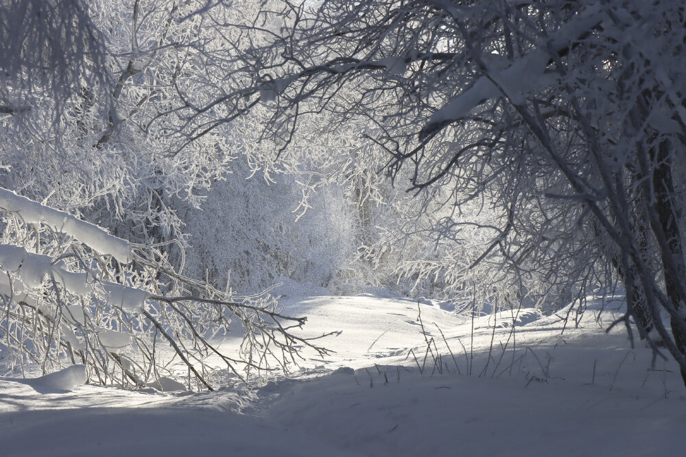 Серебряный дождь - Галина Ильясова
