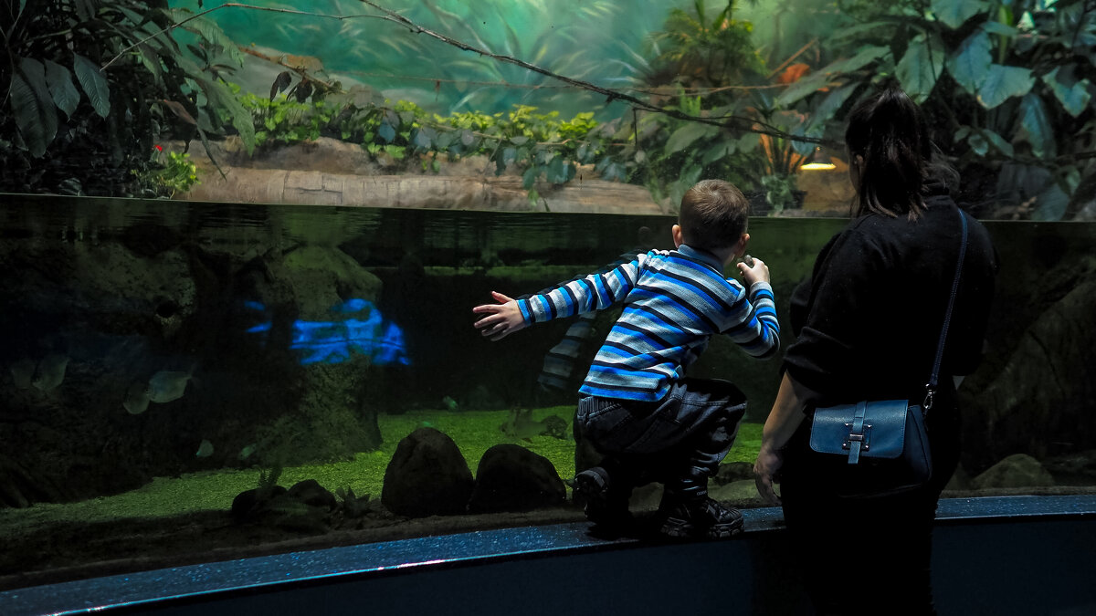 Зарисовка из Москвариума - юрий поляков