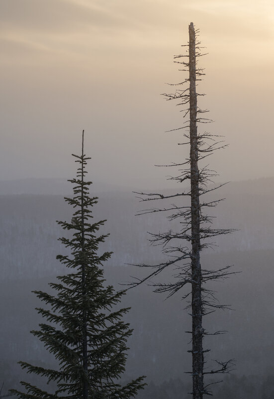 * - Александр Иванов