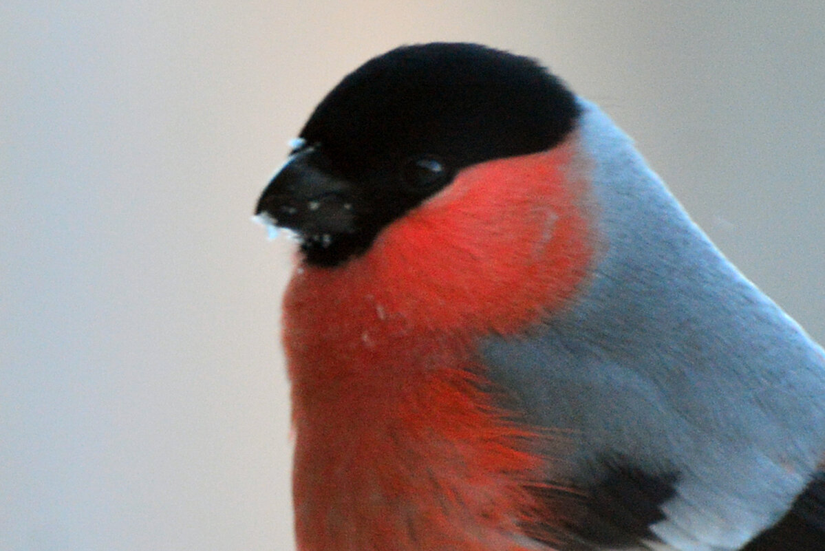 *** - леонид логинов