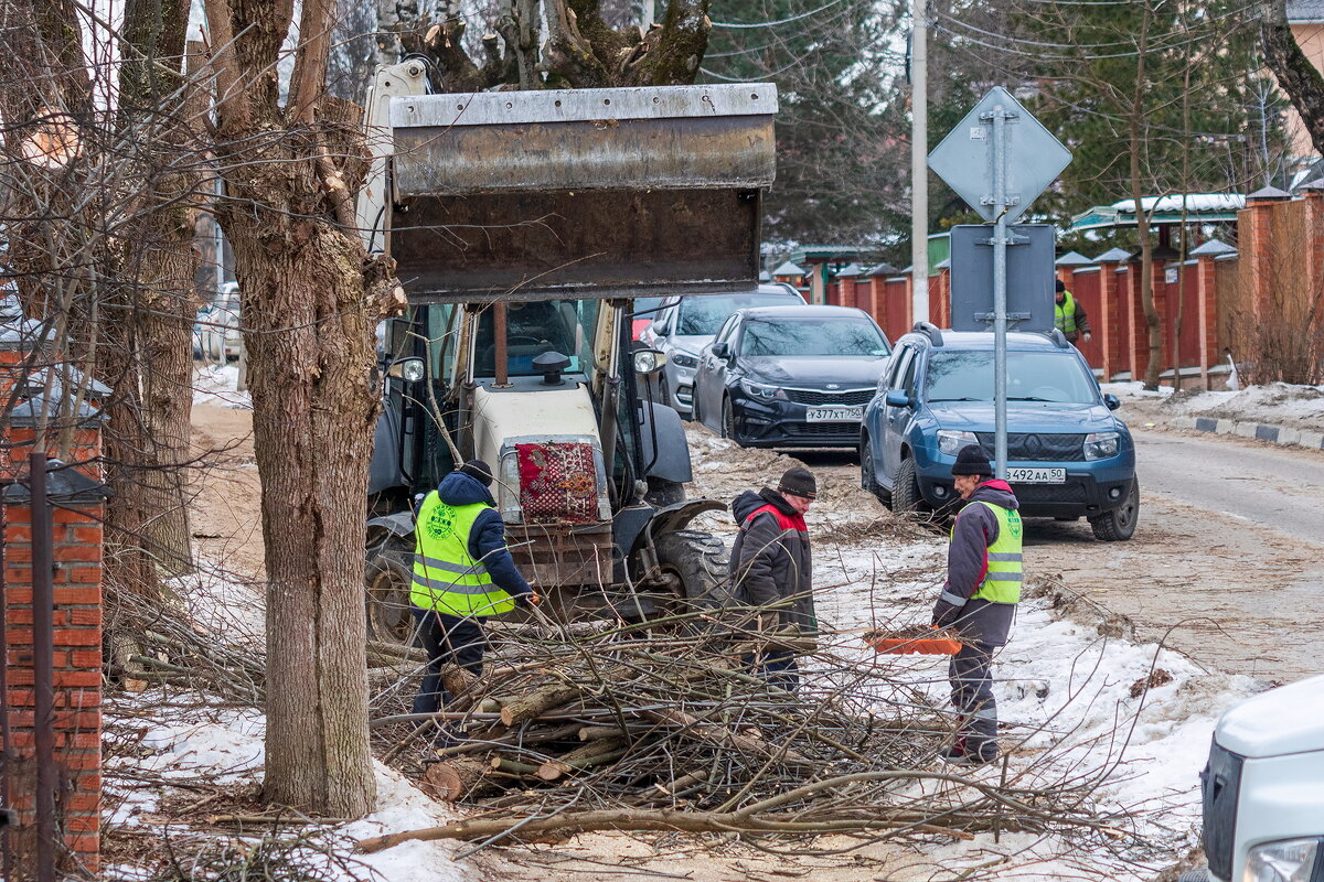 «Обломали немало веток, наломали немало дров» - Анатолий. Chesnavik.