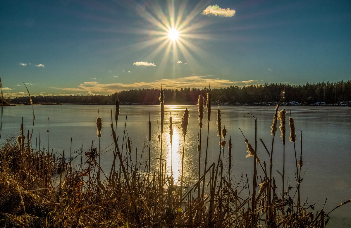 Вот такая зима в Подмосковье 2025 5 - Андрей Дворников Вот такая зима в Подмосковье 2025 5 - Андрей Дворников