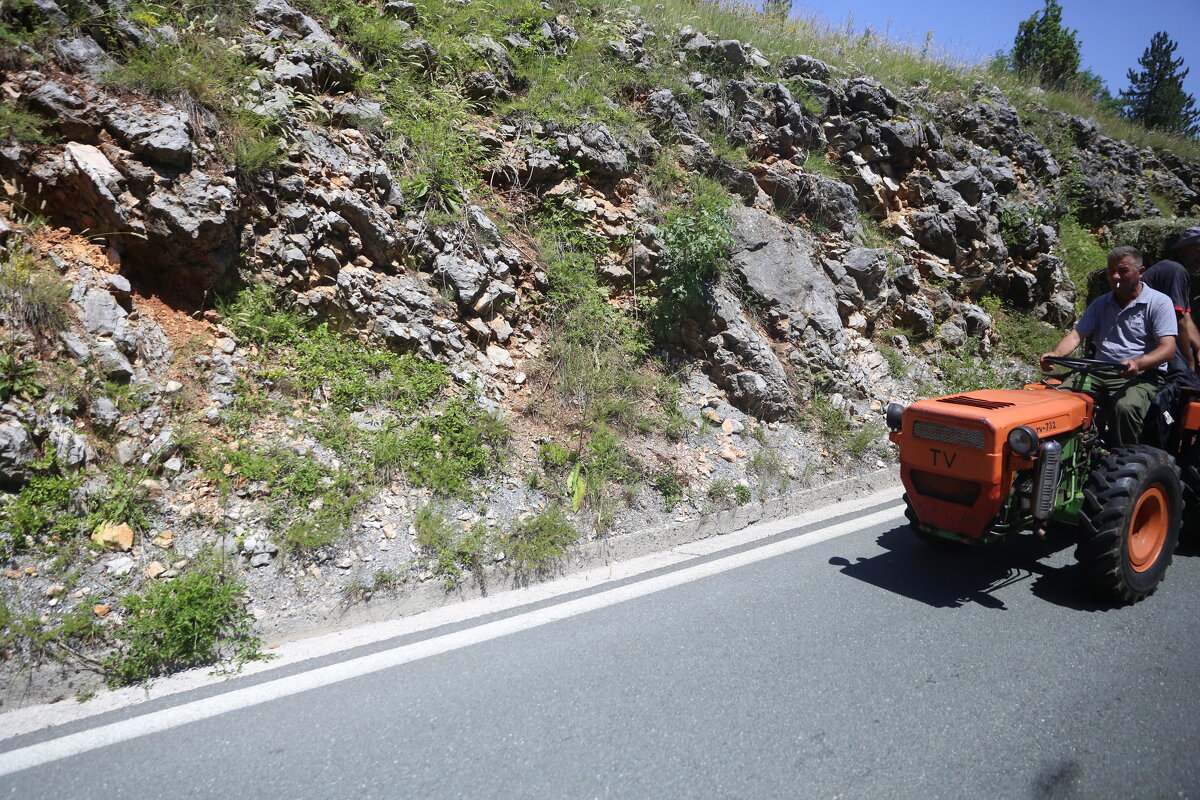 Местные - Евгений +