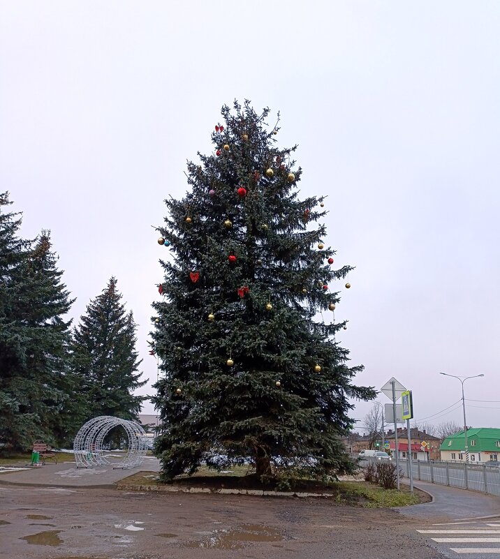 Старая Пустошка Псковской области. - Ирина ***