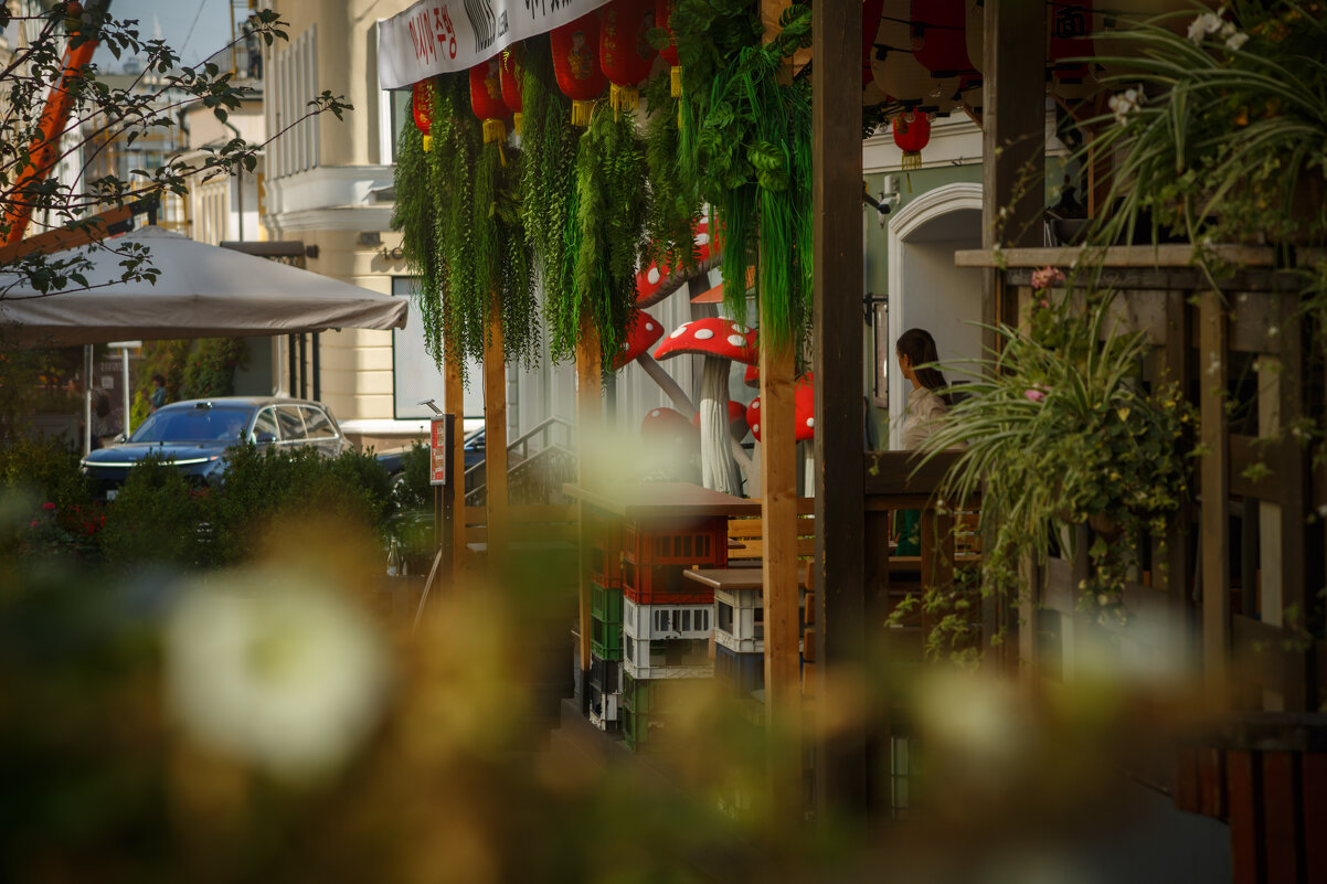 Прогулки по Москве - Вячеслав Владимирович