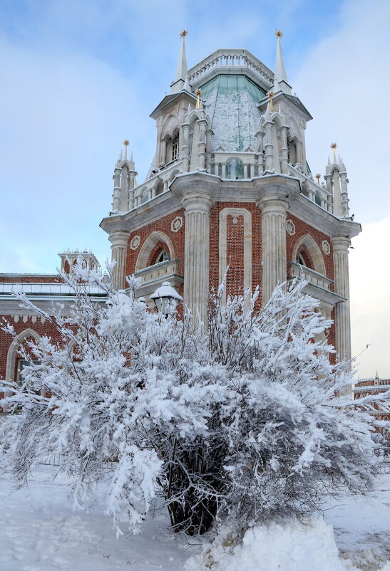 Царицыно 31 декабря - Михаил Бибичков Царицыно 31 декабря - Михаил Бибичков