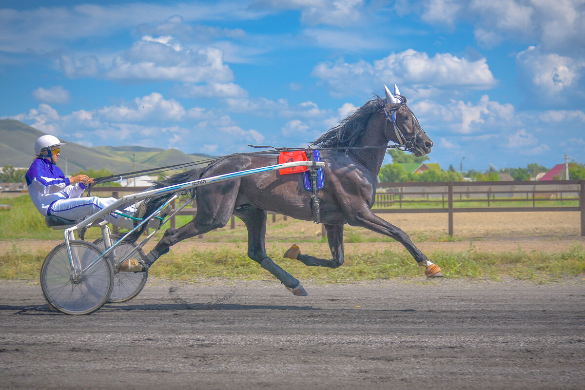 Полёт над беговой дорожкой. - юрий Амосов