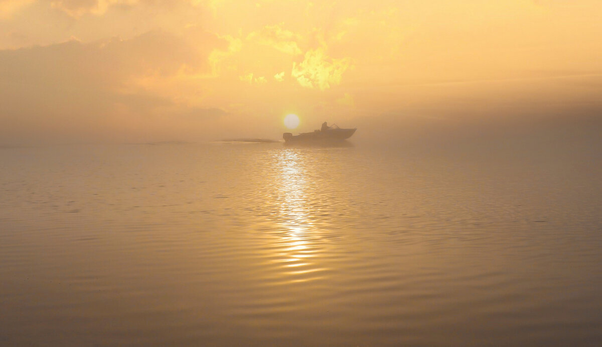 За тонкой вуалью тумана.. - Тамара Бучарская За тонкой вуалью тумана.. - Тамара Бучарская