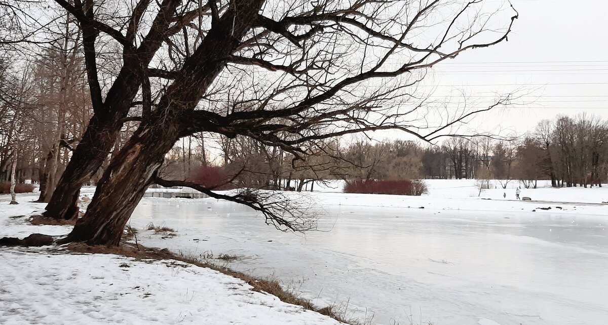 Отдельный парк. Колонистский пруд - Наталья Герасимова Отдельный парк. Колонистский пруд - Наталья Герасимова