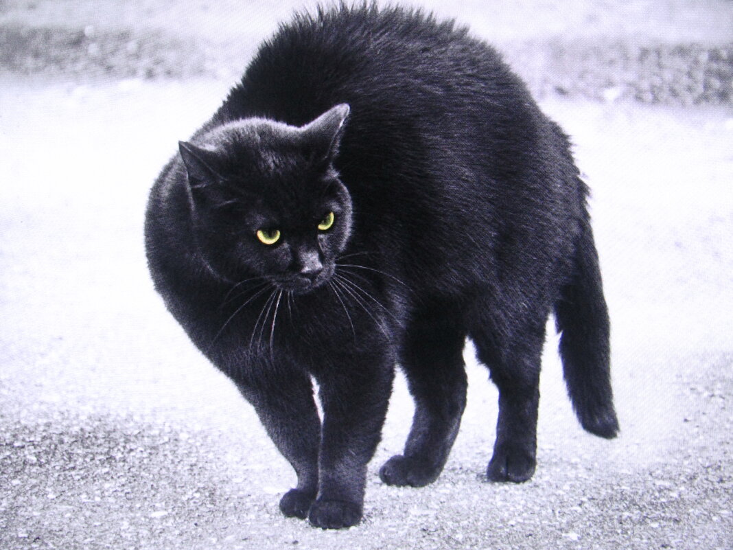 Кого-то увидел - Людмила Смородинская