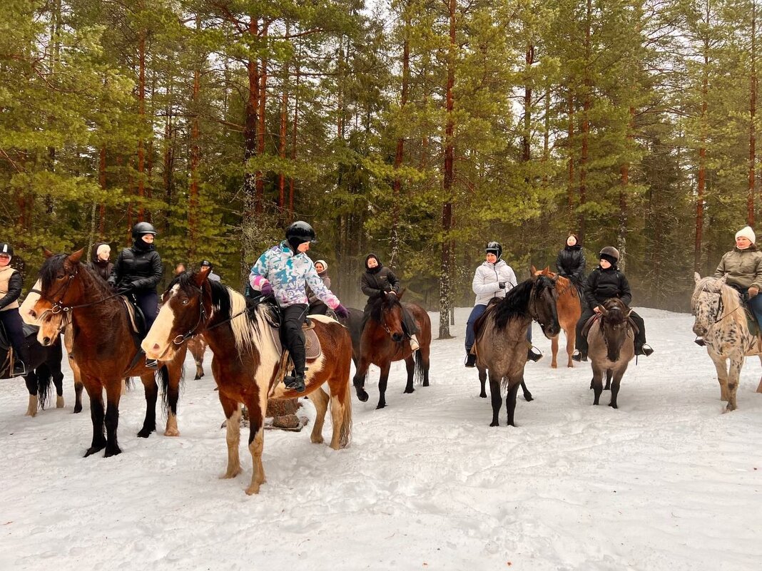 Минутка отдыха. - Ольга Минутка отдыха. - Ольга