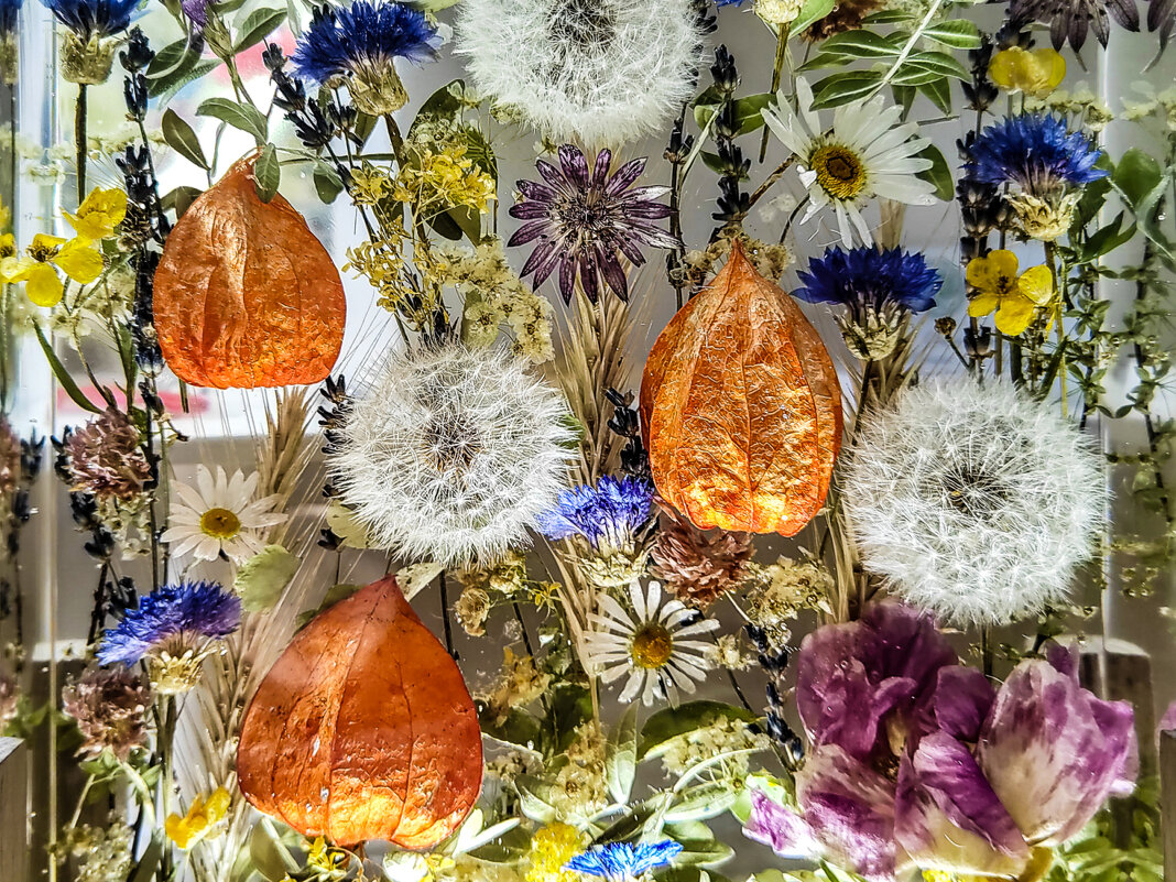 Цветы залиты в прозрачной смоле - Георгий А Цветы залиты в прозрачной смоле - Георгий А