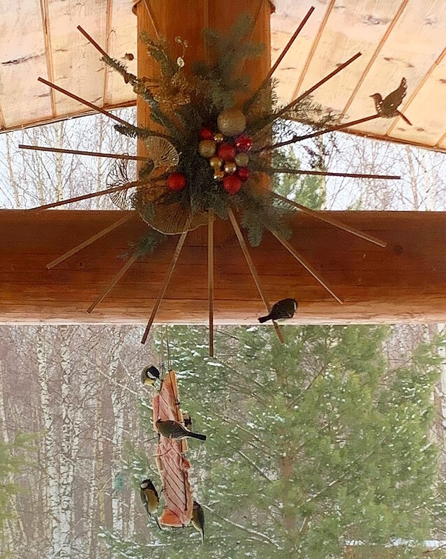 Столовая для птиц. - Ольга Довженко