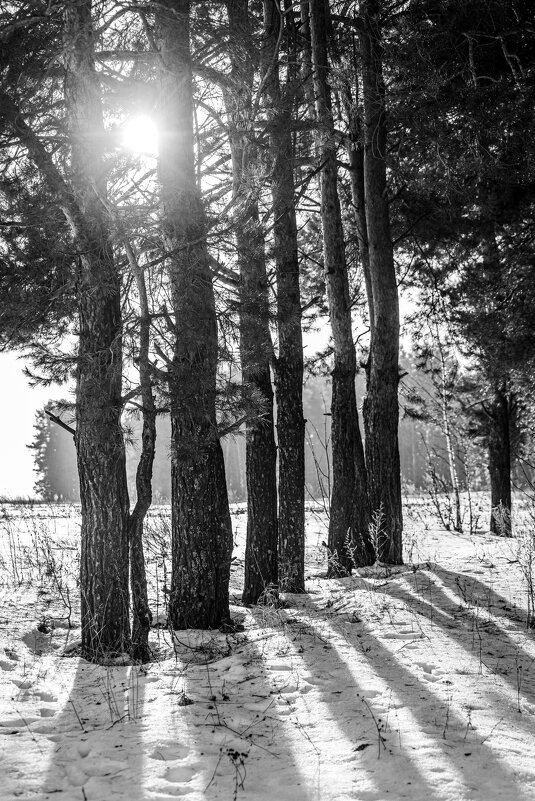 Почти весна - Aleksey Bolotov