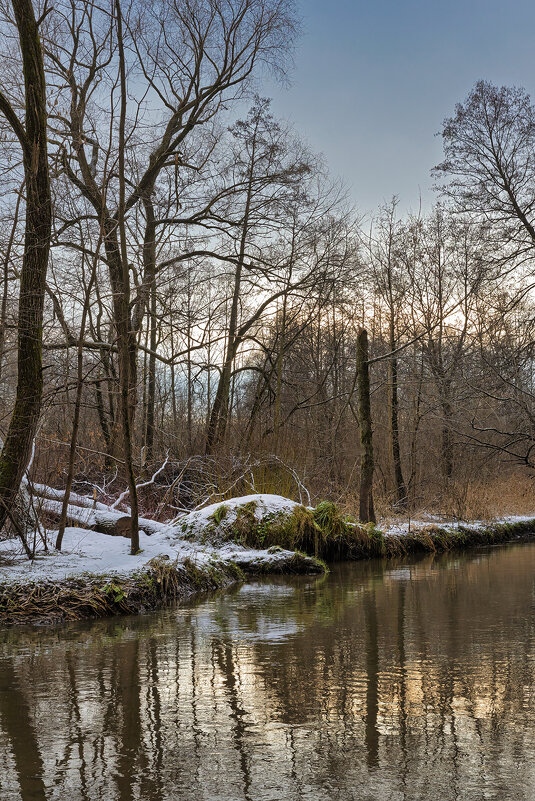 Вдоль речки - Michel 