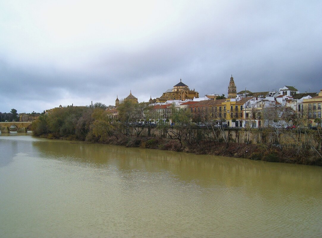 Вид на центральную часть Кордовы и реку Гвадалквивир. - unix (Илья Утропов) Вид на центральную часть Кордовы и реку Гвадалквивир. - unix (Илья Утропов)