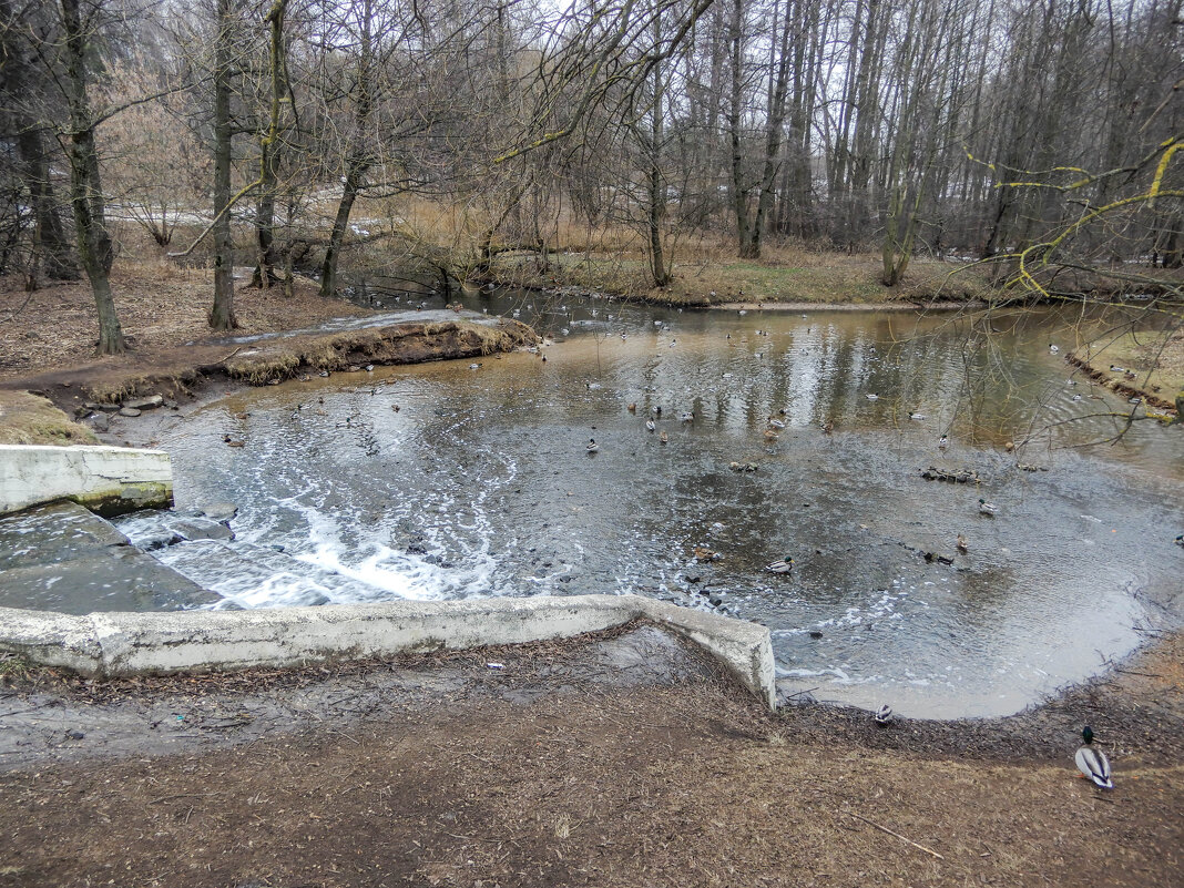 утиное раздолье - Сергей Лындин