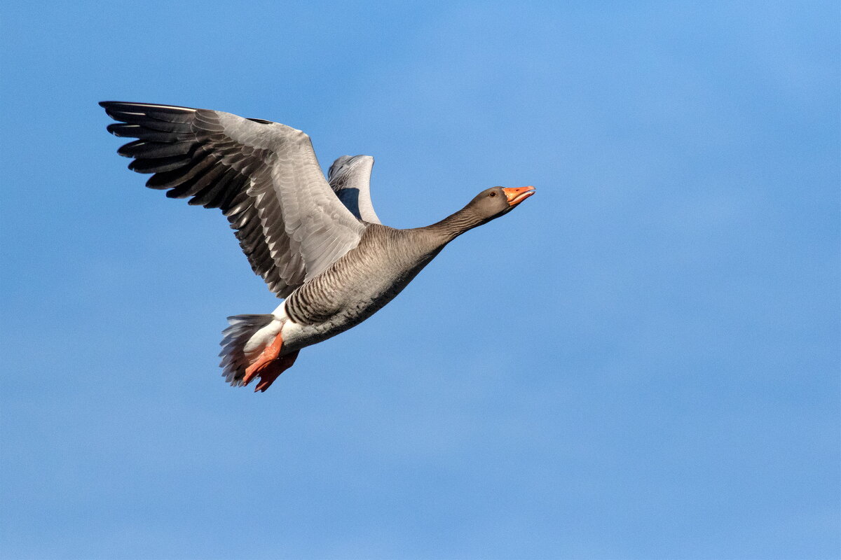 в путь - vladimir 