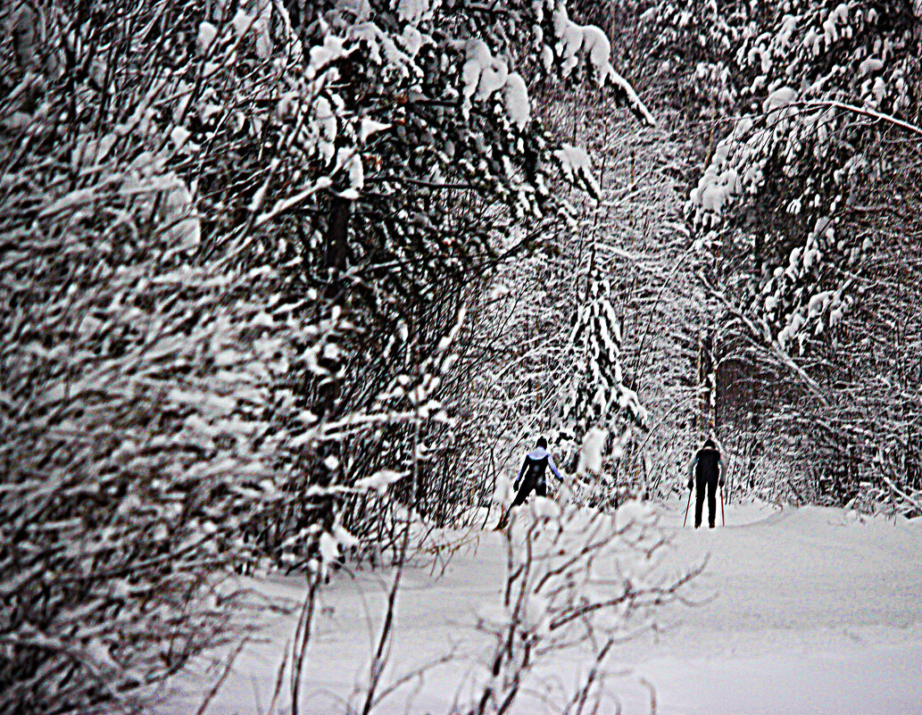 Январь...Покоряя снежное царство тайги! - Владимир Январь...Покоряя снежное царство тайги! - Владимир