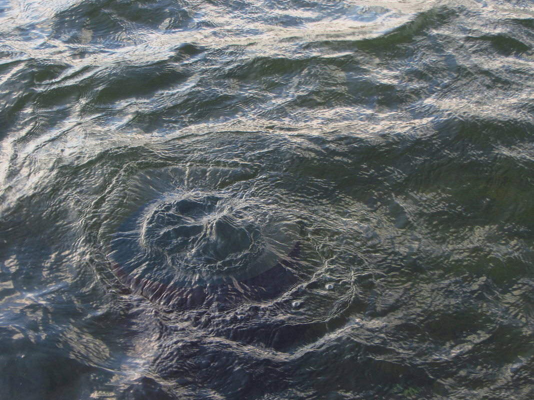 Жидкая вода - Андрей Лукьянов