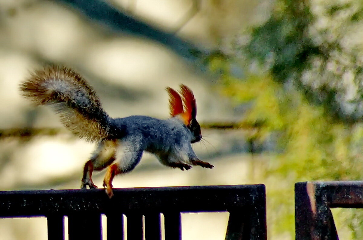 Бег по полосе с препятствиями... - Николай Саржанов Бег по полосе с препятствиями... - Николай Саржанов