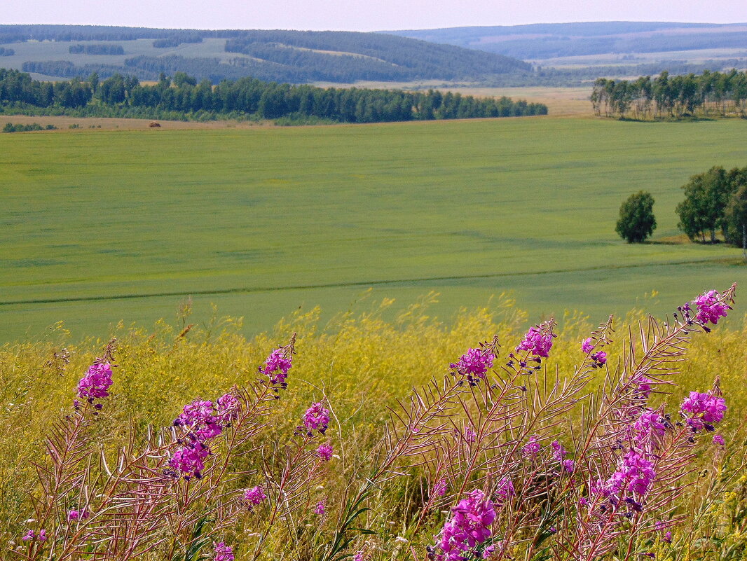 Сибирские дали. - nadyasilyuk Вознюк