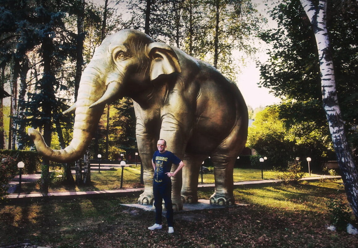 ---from Golden Palace--- - AL Reborn 