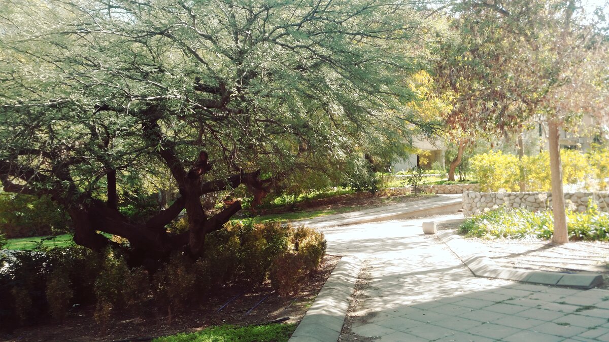 109 (6) - СТРЕН 