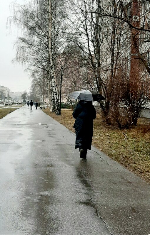 Январь - 2025 - Наталья Герасимова Январь - 2025 - Наталья Герасимова