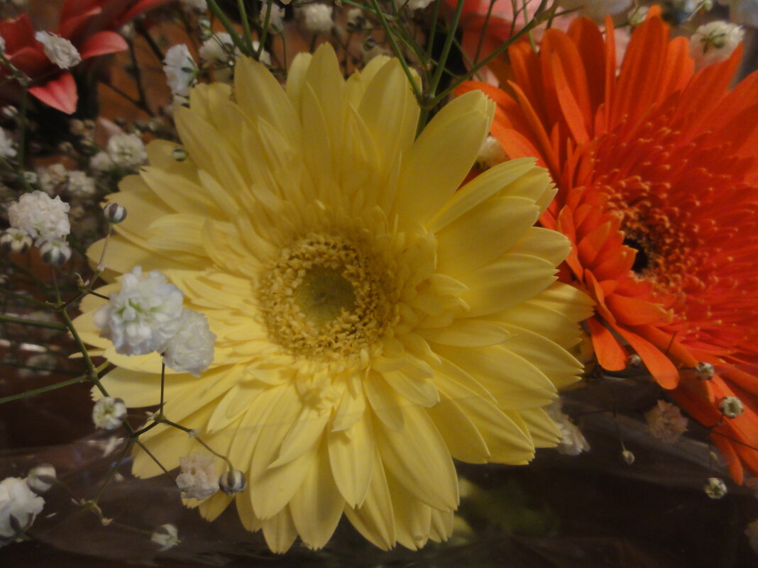 ... - марина ковшова ... - марина ковшова