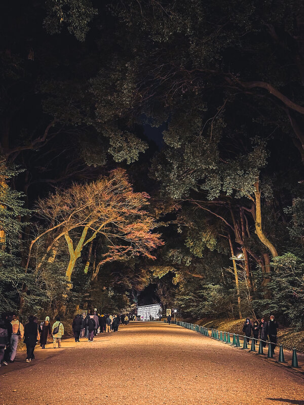 Парк в святилище Мэйдзи Дзингу в Токио - Дмитрий 