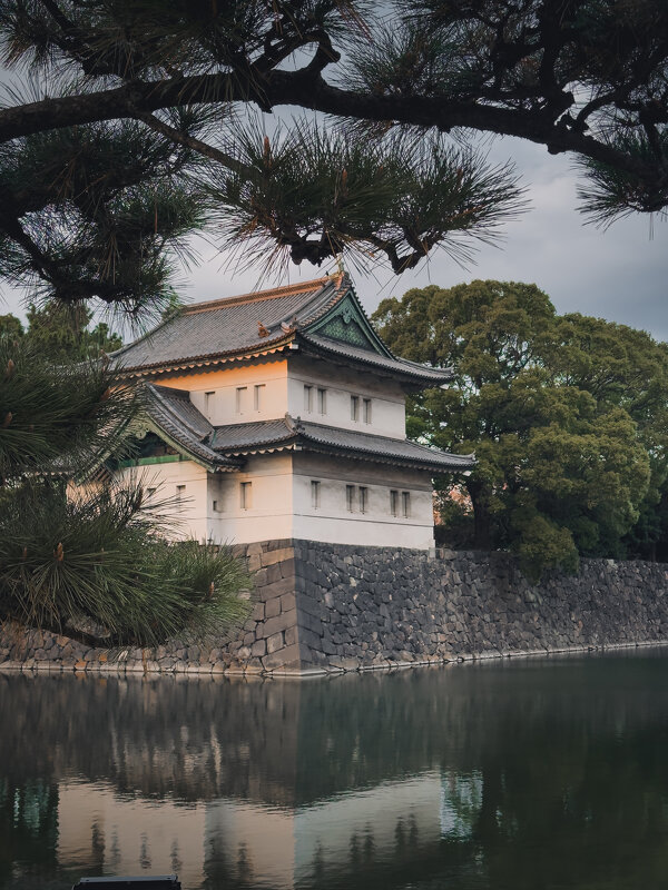 Парк около императорского дворца в Токио - Дмитрий Парк около императорского дворца в Токио - Дмитрий