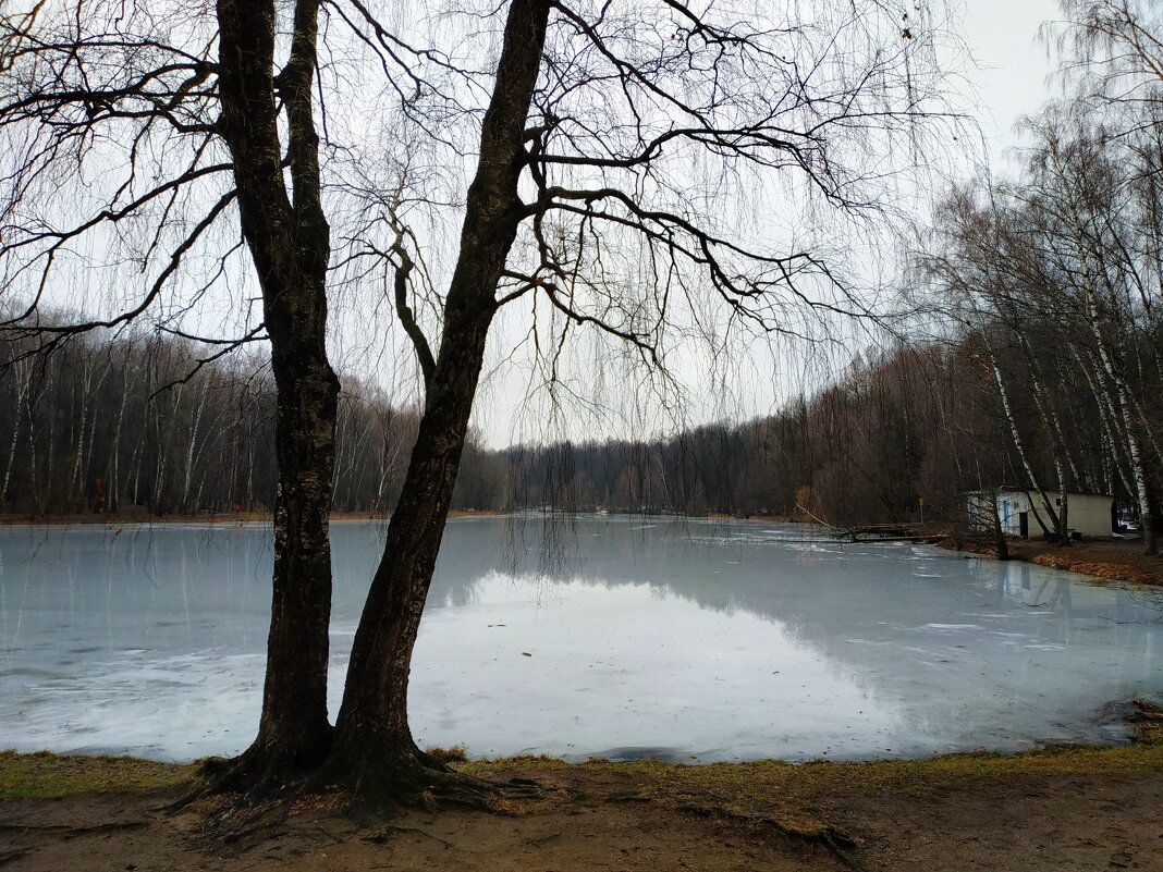 Зима по-московски - Андрей Лукьянов