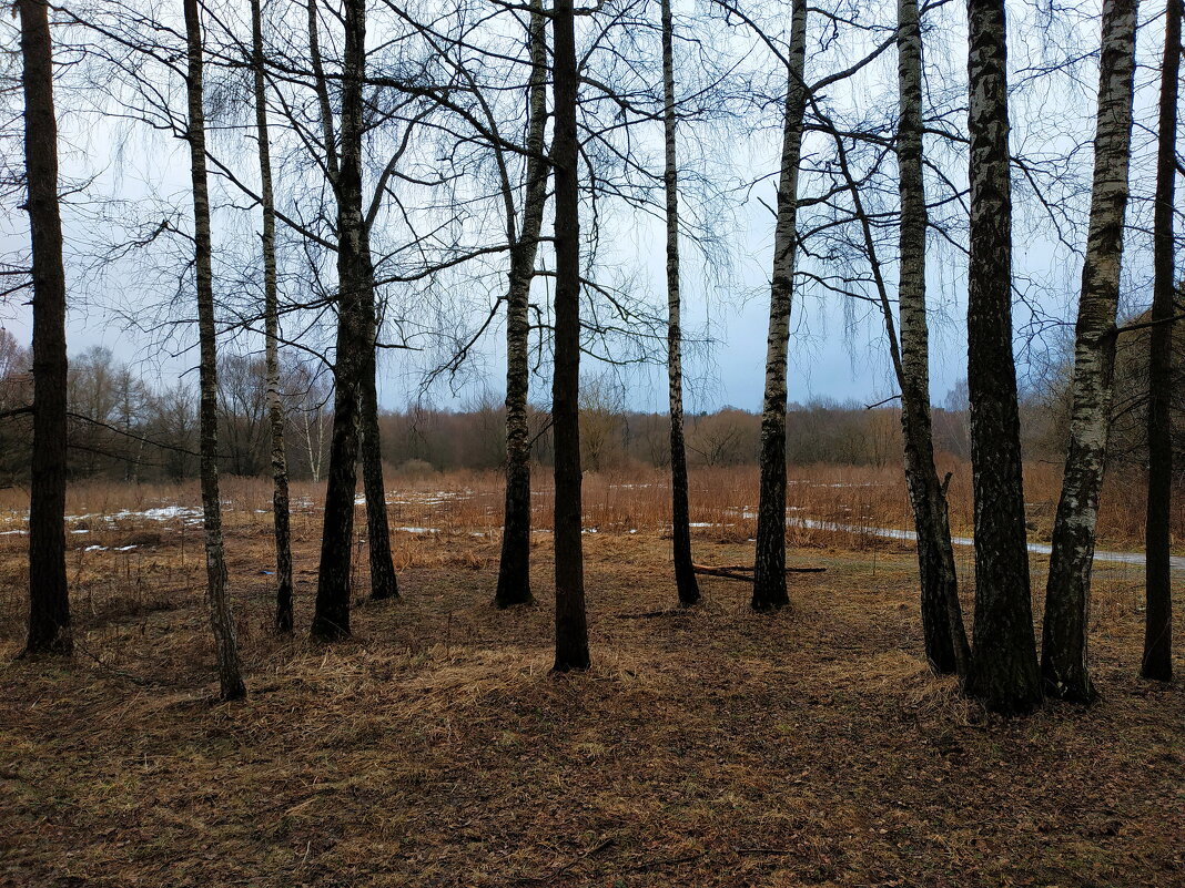 Зима по-московски - Андрей Лукьянов Зима по-московски - Андрей Лукьянов