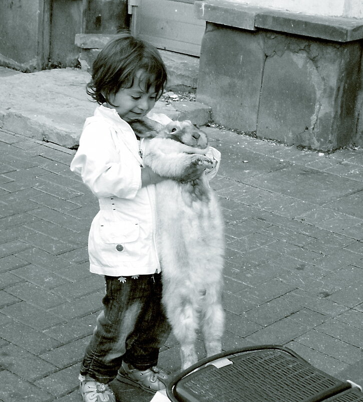 Бедный заяц - Наталья Rosenwasser