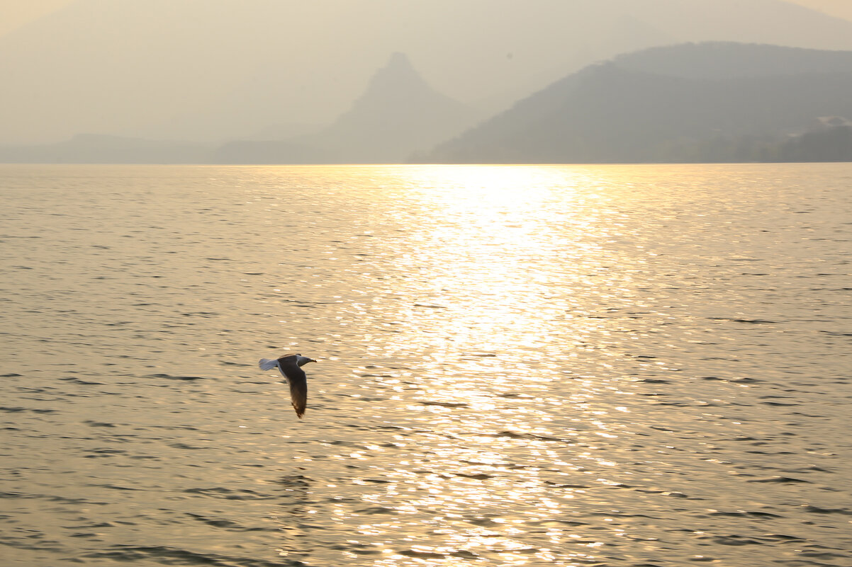 * - Евгений +