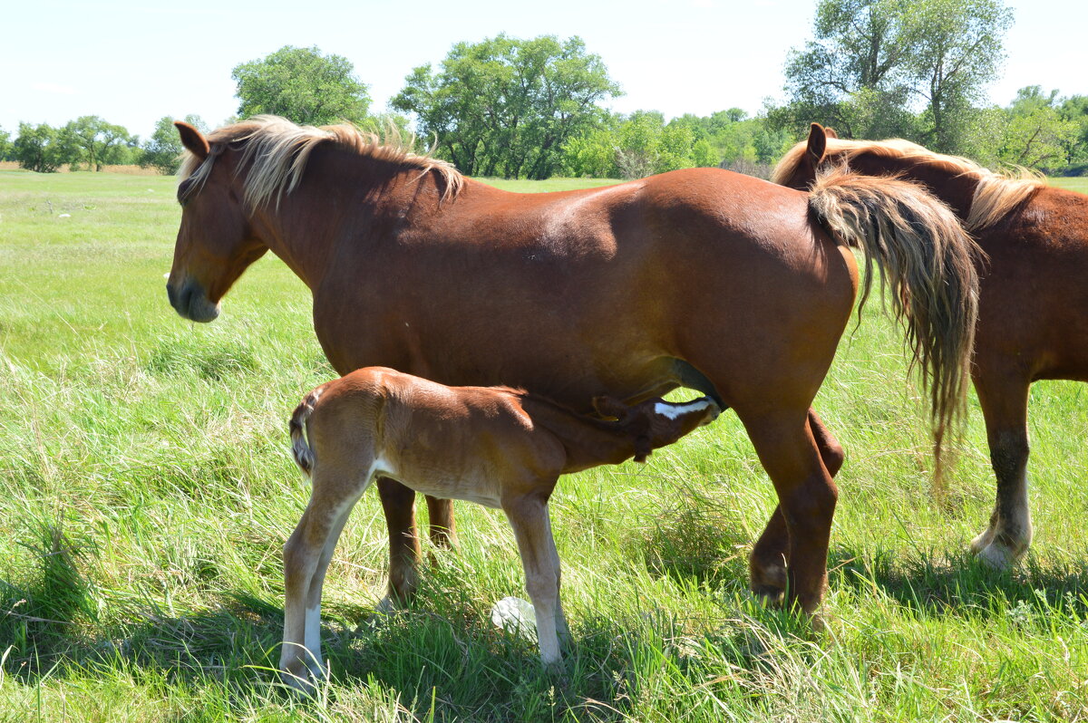 Всегда при обеде. - Виктор Всегда при обеде. - Виктор