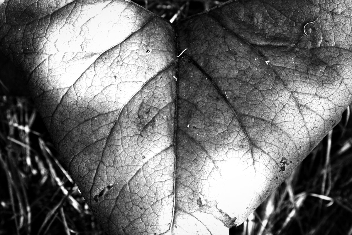 Название отсутствует - Денис Безногов Название отсутствует - Денис Безногов