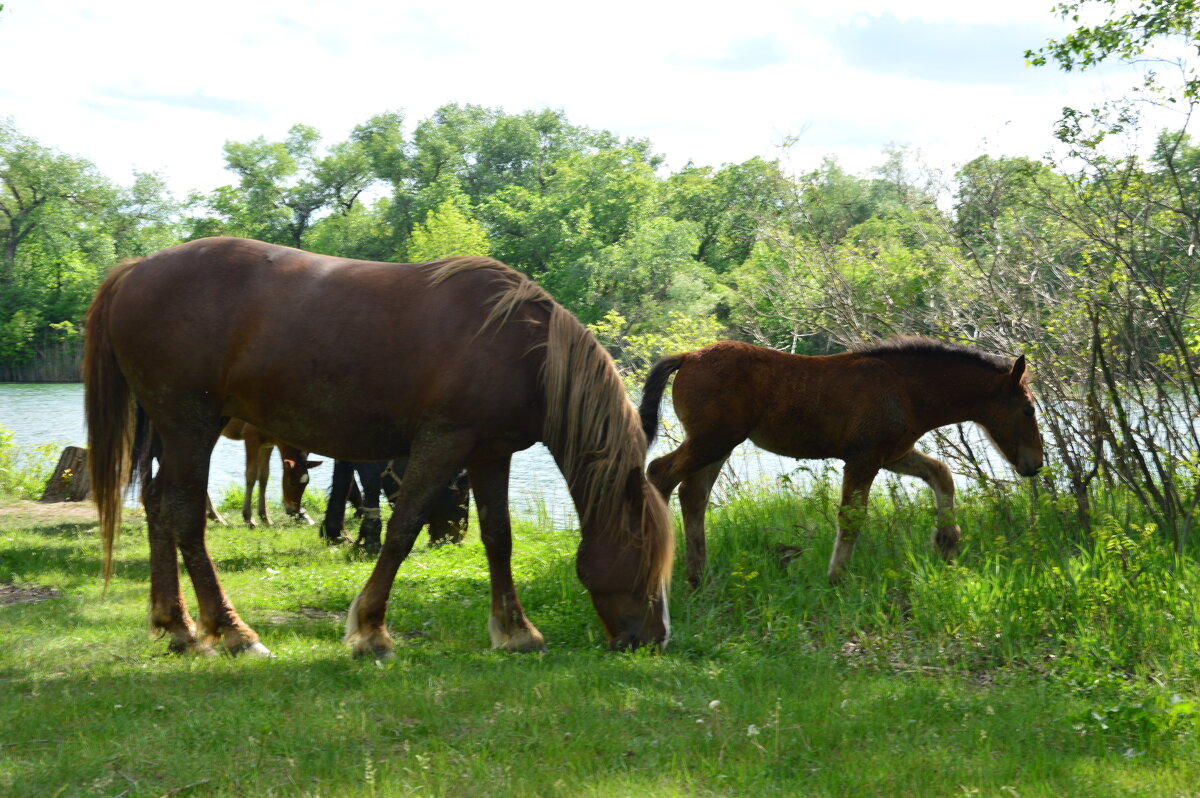 Весна. - Виктор 