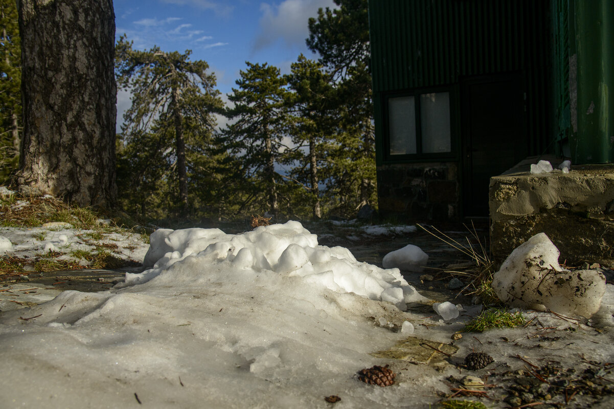 * - Осень * - Осень