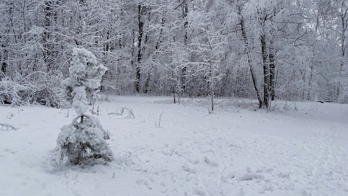 Про минувший январь - Милешкин Владимир Алексеевич Про минувший январь - Милешкин Владимир Алексеевич